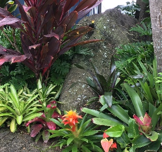 Landscaping Services